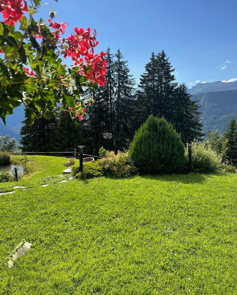 Hotel La Ferme Des Vonezins Thônes Esterno foto